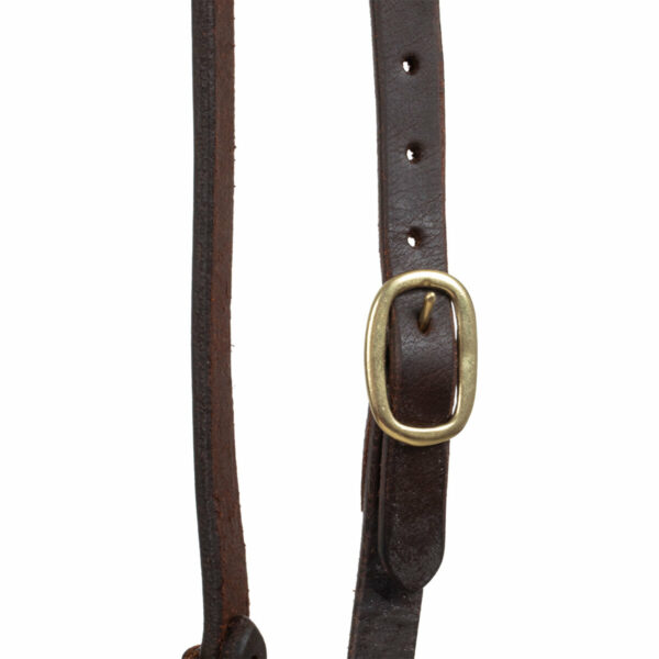 SINGLE BRASS BUCKLE ONE EAR WESTERN BRIDLE