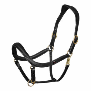 SWEDISH MODER HALTER
