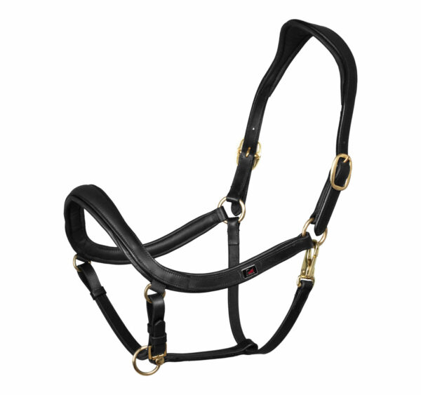 SWEDISH MODER HALTER