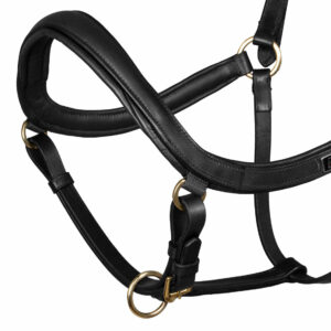 SWEDISH MODER HALTER