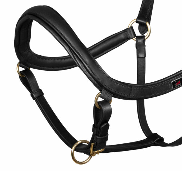 SWEDISH MODER HALTER