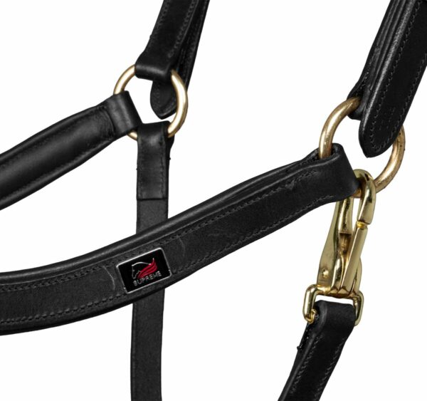 SWEDISH MODER HALTER