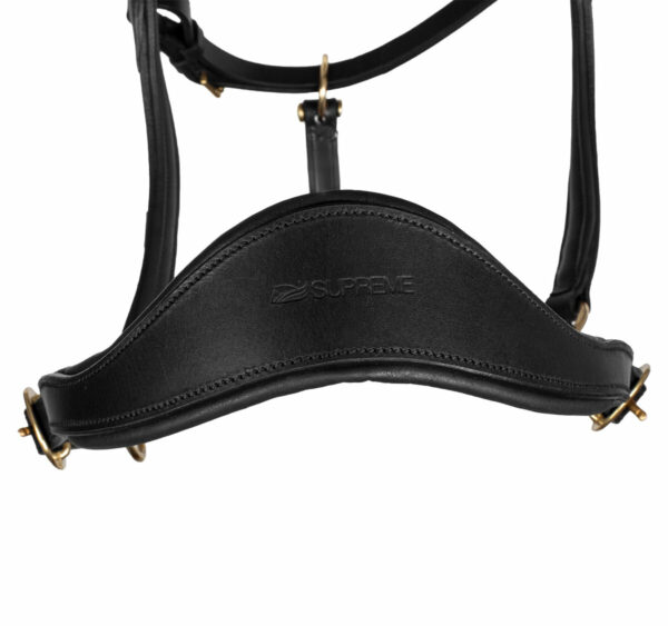 SWEDISH MODER HALTER