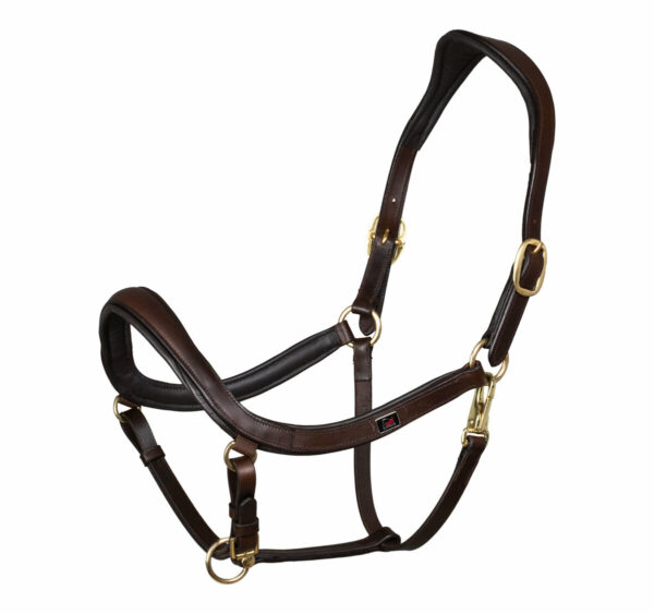 SWEDISH MODER HALTER