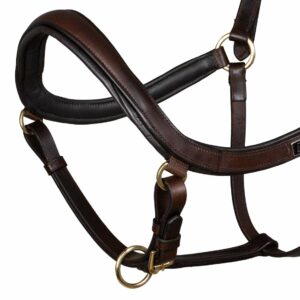 SWEDISH MODER HALTER