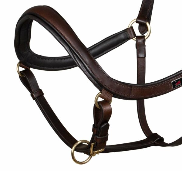 SWEDISH MODER HALTER