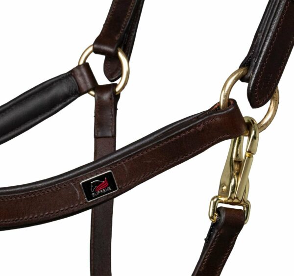 SWEDISH MODER HALTER