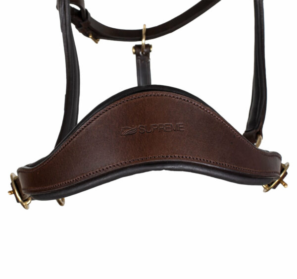 SWEDISH MODER HALTER